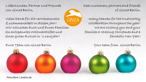 ⭐ Merry Christmas and a Happy New Year! ☃️