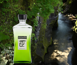 Purist elegance from Miyazaki: Masaharu Gin